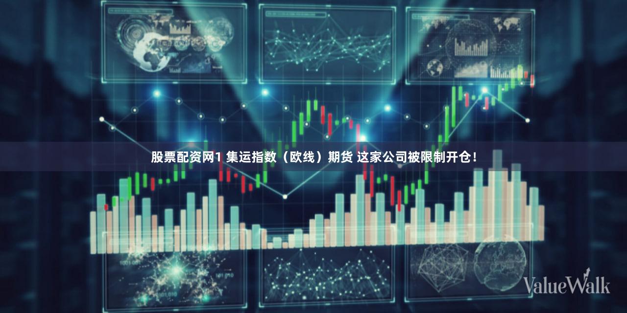 股票配资网1 集运指数（欧线）期货 这家公司被限制开仓！