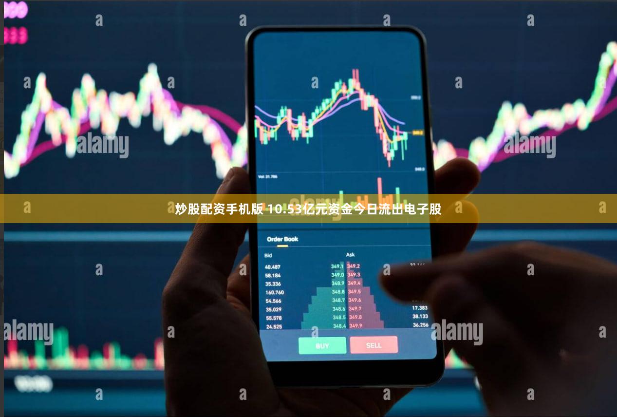 炒股配资手机版 10.53亿元资金今日流出电子股