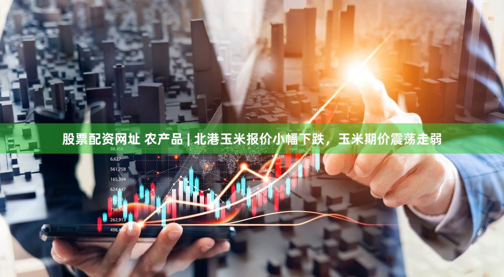 股票配资网址 农产品 | 北港玉米报价小幅下跌，玉米期价震荡走弱
