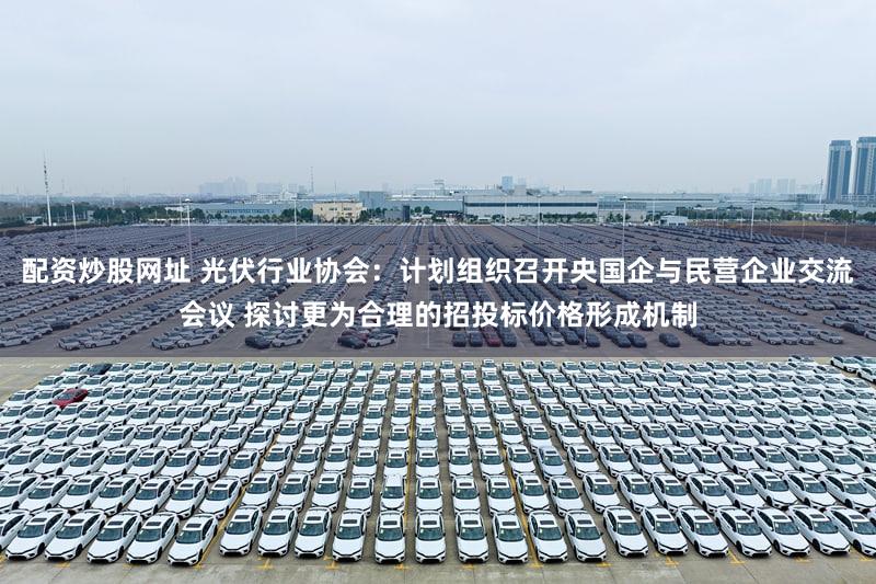 配资炒股网址 光伏行业协会：计划组织召开央国企与民营企业交流会议 探讨更为合理的招投标价格形成机制