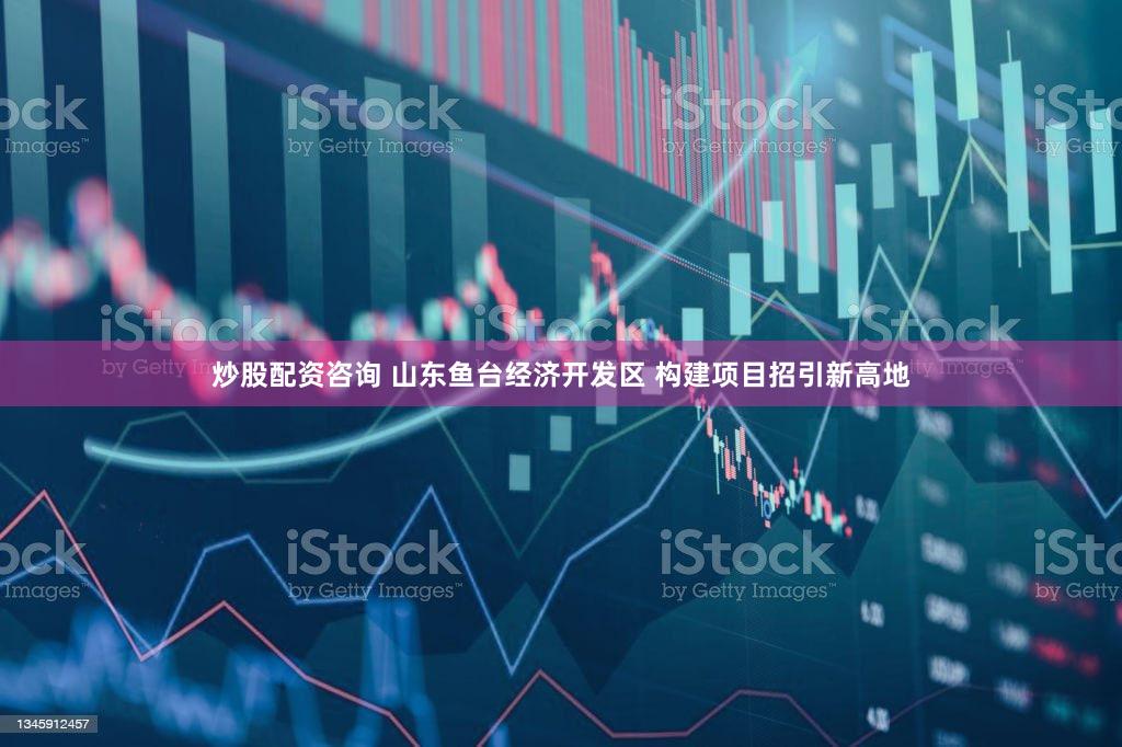 炒股配资咨询 山东鱼台经济开发区 构建项目招引新高地