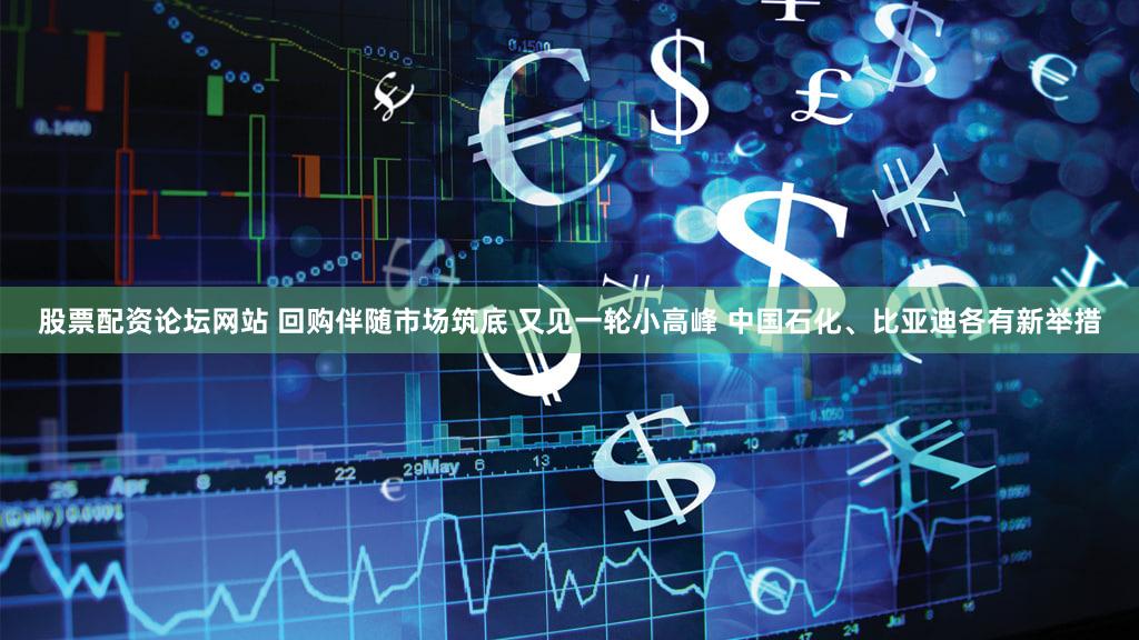 股票配资论坛网站 回购伴随市场筑底 又见一轮小高峰 中国石化、比亚迪各有新举措