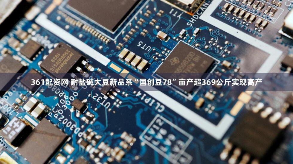 361配资网 耐盐碱大豆新品系“国创豆78”亩产超369公斤实现高产