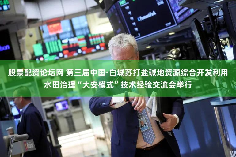 股票配资论坛网 第三届中国·白城苏打盐碱地资源综合开发利用水田治理“大安模式”技术经验交流会举行