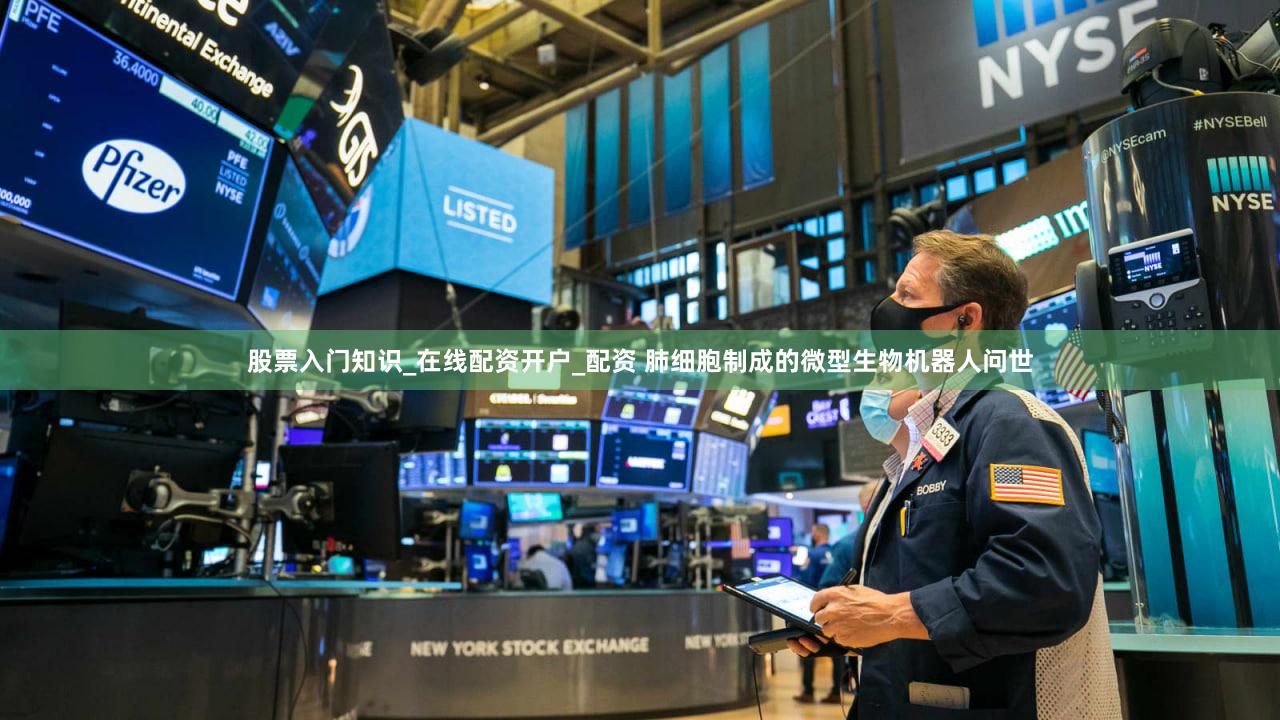 股票入门知识_在线配资开户_配资 肺细胞制成的微型生物机器人问世