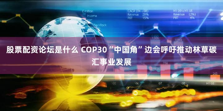 股票配资论坛是什么 COP30“中国角”边会呼吁推动林草碳汇事业发展