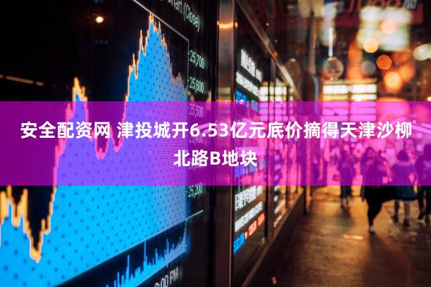 安全配资网 津投城开6.53亿元底价摘得天津沙柳北路B地块